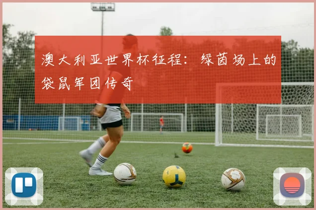 澳大利亚世界杯征程：绿茵场上的袋鼠军团传奇